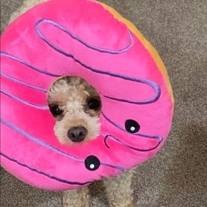 Meet your Posher, Torri